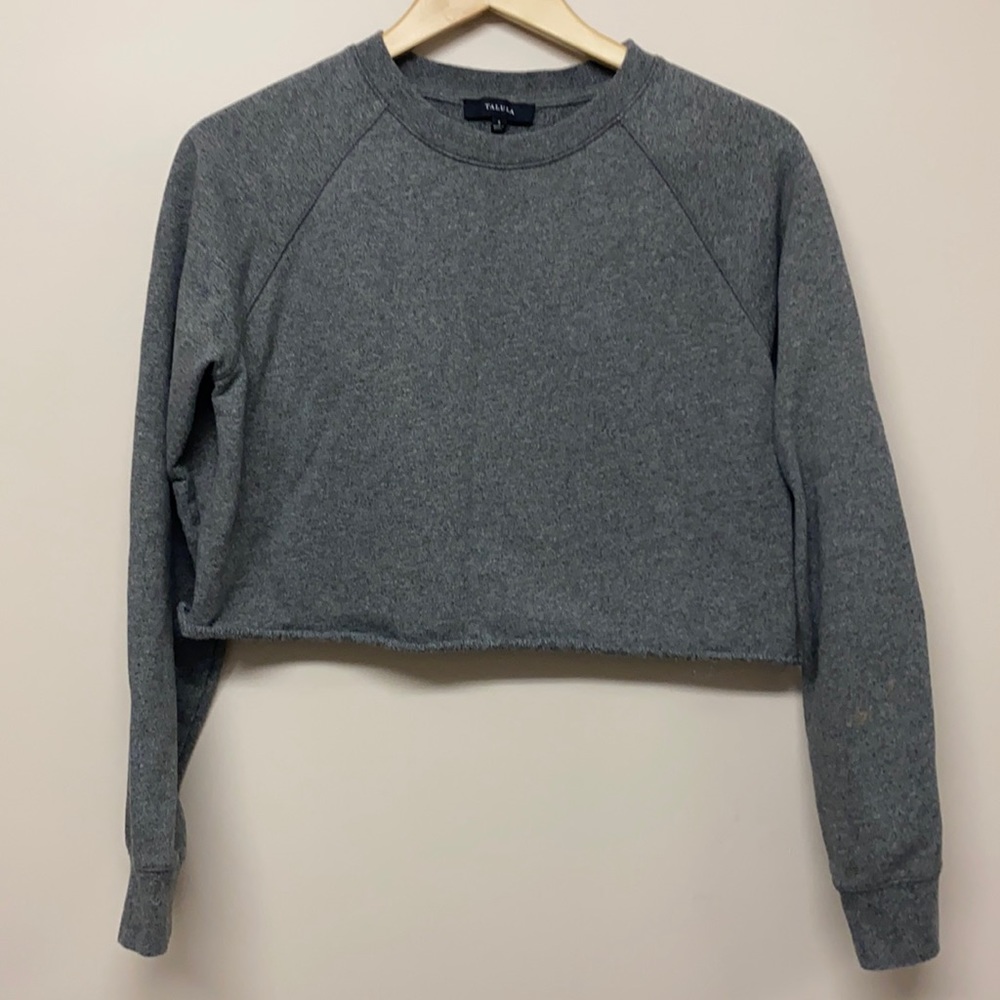 Aritzia Talula gray cropped sweater shirt